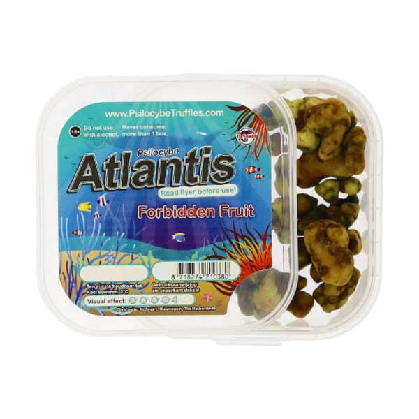 Atlantis truffels psilocybe