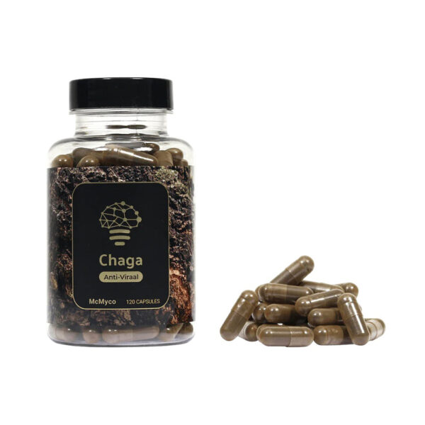 Chaga Mushroom Capsules