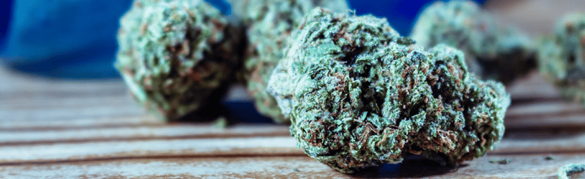 Klassieke cannabis zaden